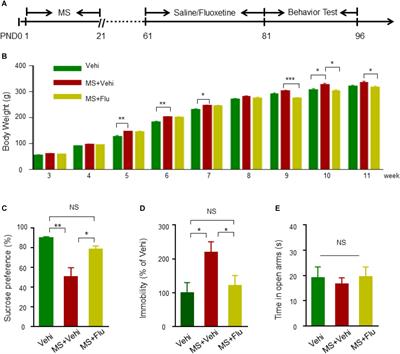 Transcriptome Analysis on Maternal Separation Rats With Depression-Related Manifestations Ameliorated by Electroacupuncture